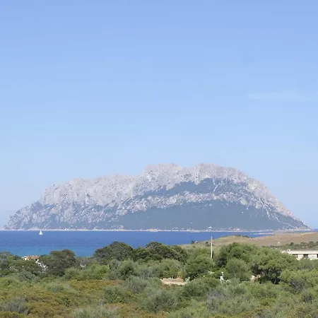 Aria Di Vacanza - Ligni Bianchi *